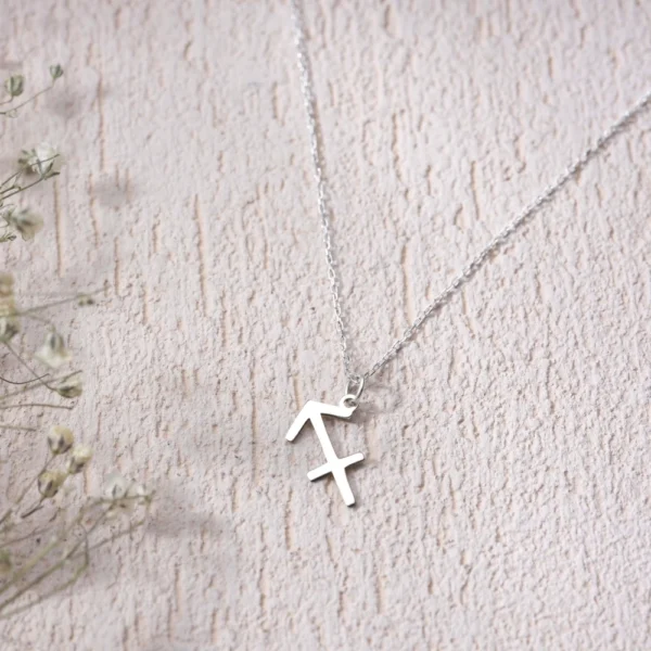 image_1950-2096.webp Yay Burç Gümüş Kadın Kolye